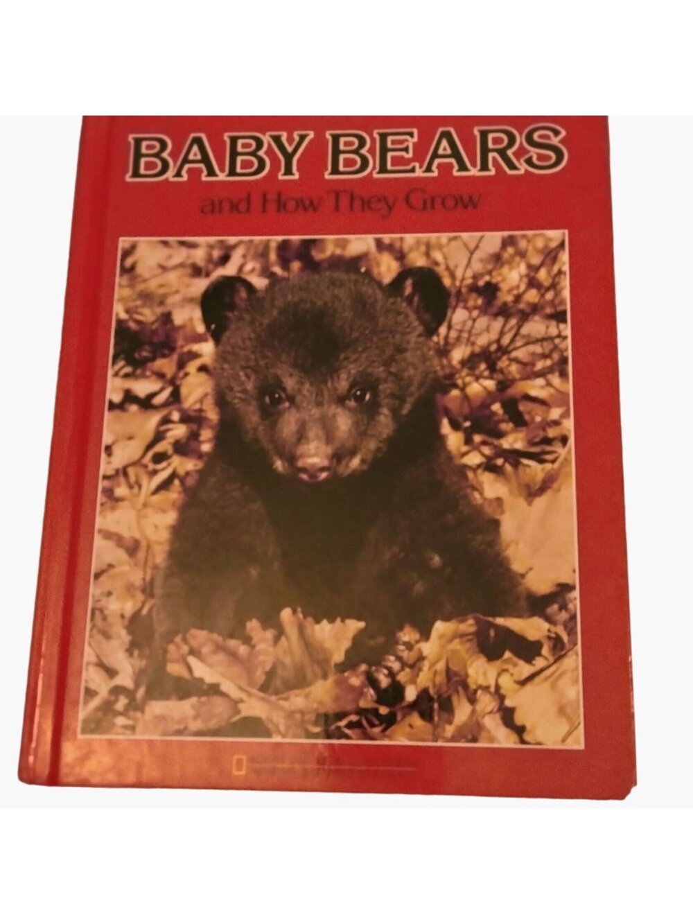 Baby Bears And How They Grow National Geographic Hardcover Book